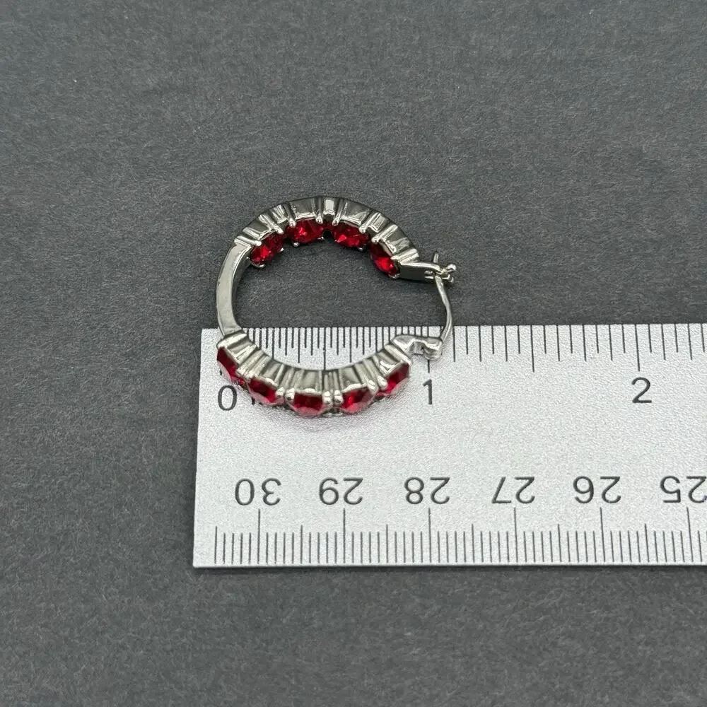 316L Surgical Stainless Steel Red Rhinestone Hoop & Stud Earrings Jewelry Lot